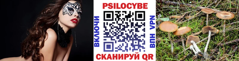 mega зеркало  нарко площадка наркотические препараты  Псилоцибиновые грибы Psilocybine cubensis  Губкин 