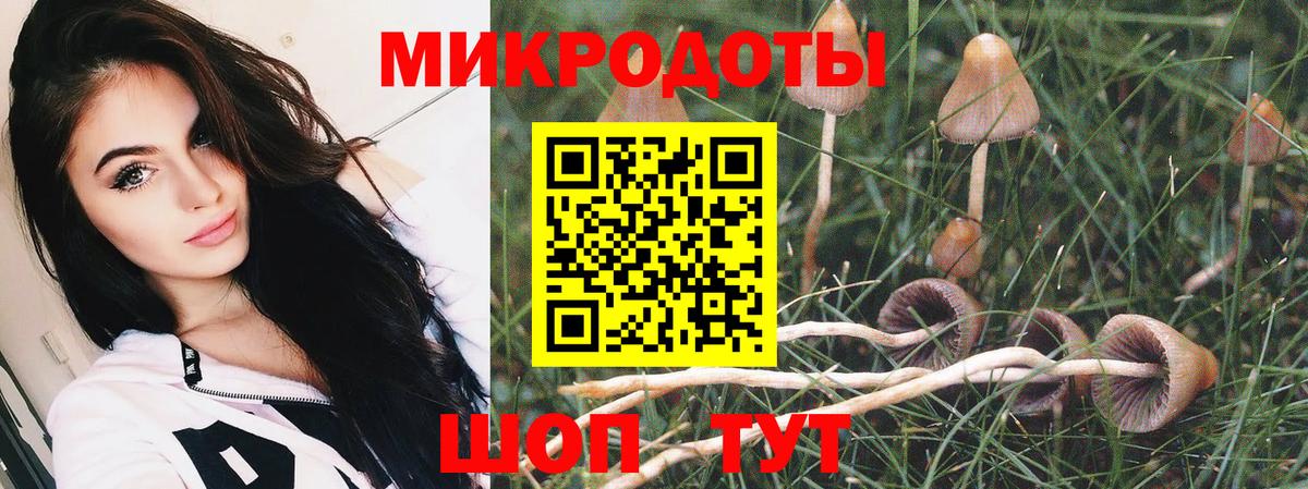 Псилоцибиновые грибы Psilocybine cubensis  даркнет сайт  Губкин  Вход с VPN 
