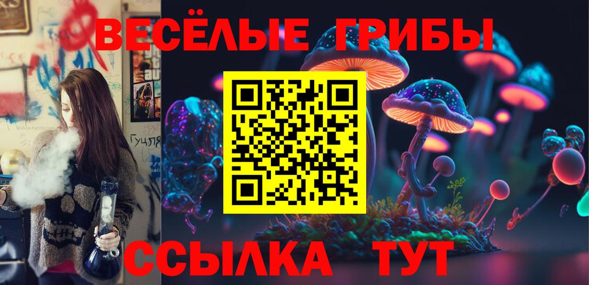 Галлюциногенные грибы Cubensis Губкин